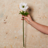 Anemone White Real Touch Flower Stem