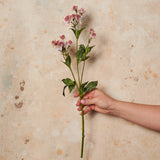 Astrantia Real Touch Flower Stem