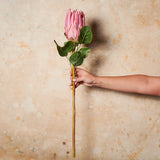 Bettie Queen Protea Real touch Flower Stem