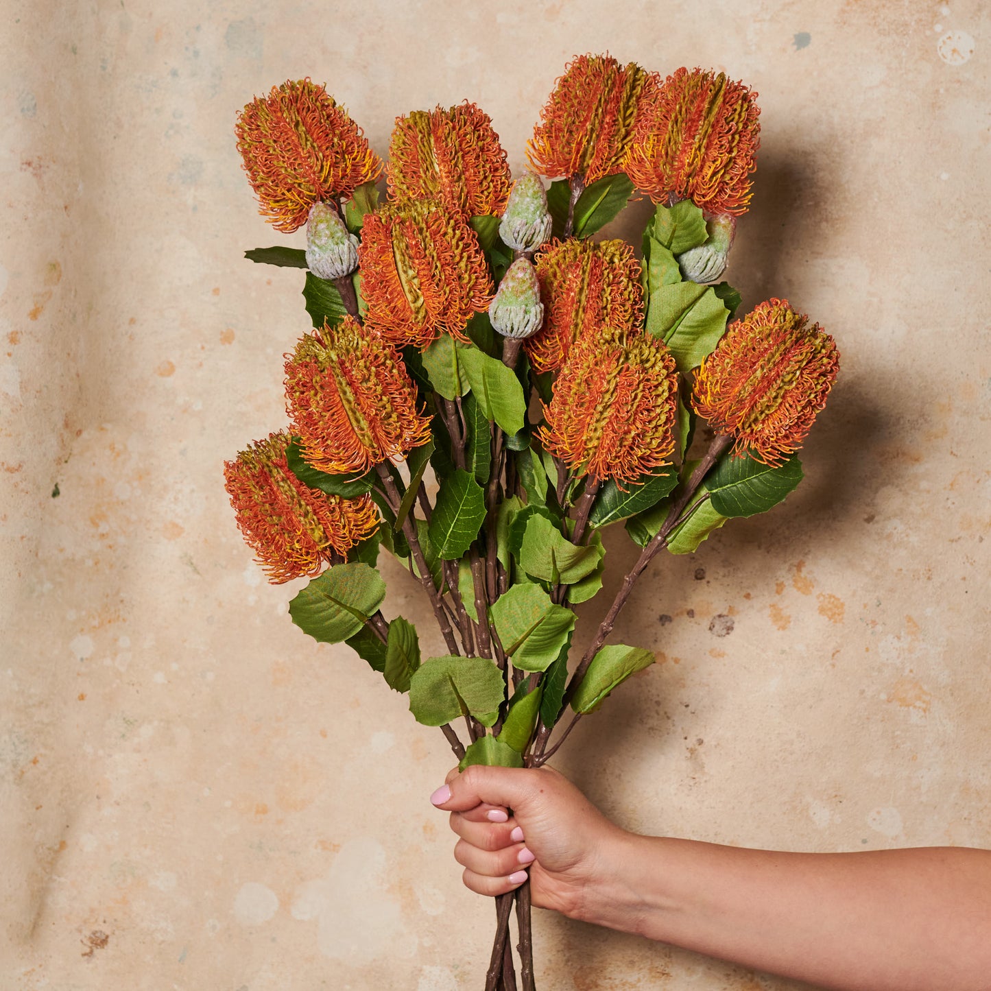 Cameron Banksia Real Touch Flower Stem