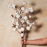 Cotton Real Touch