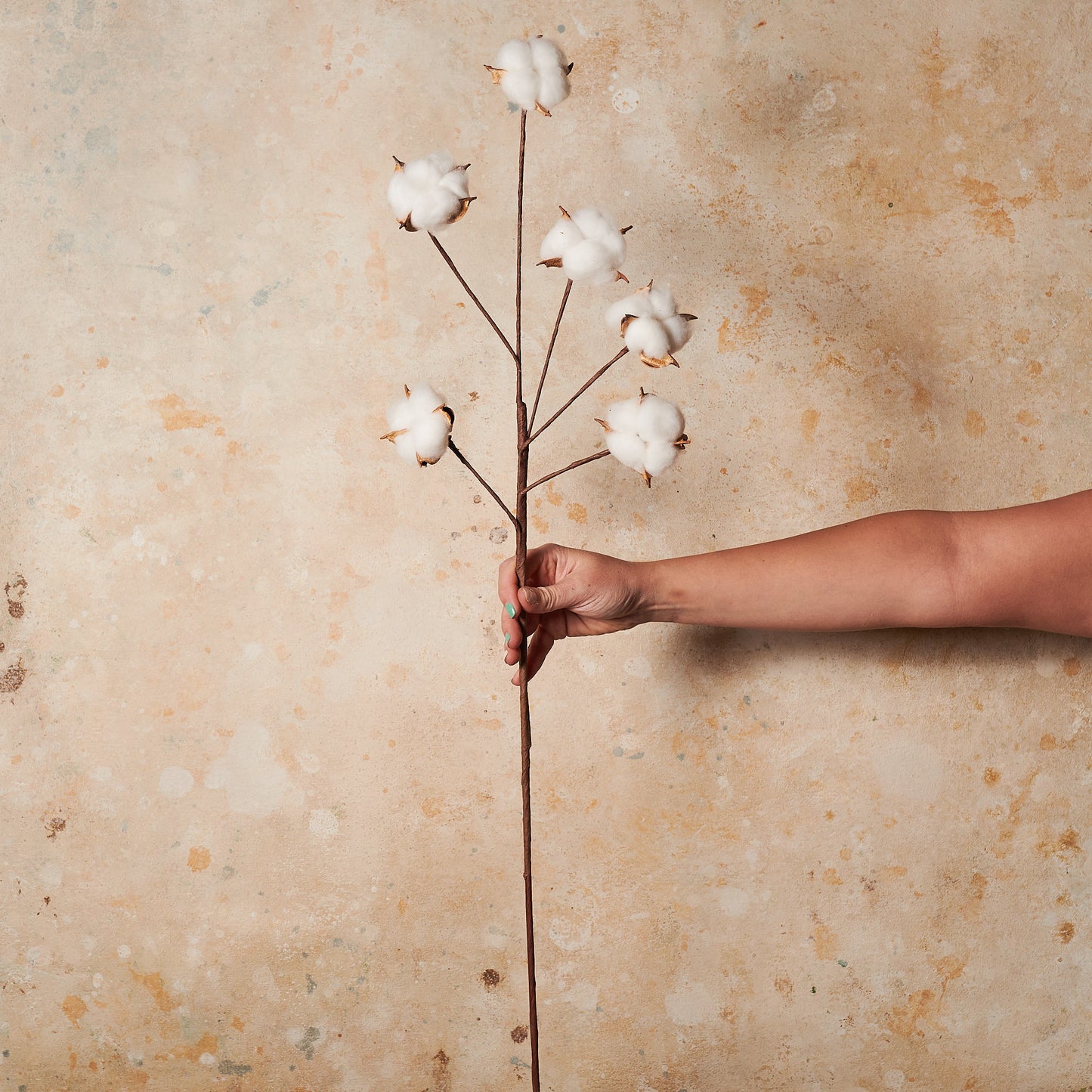 Cotton Real Touch
