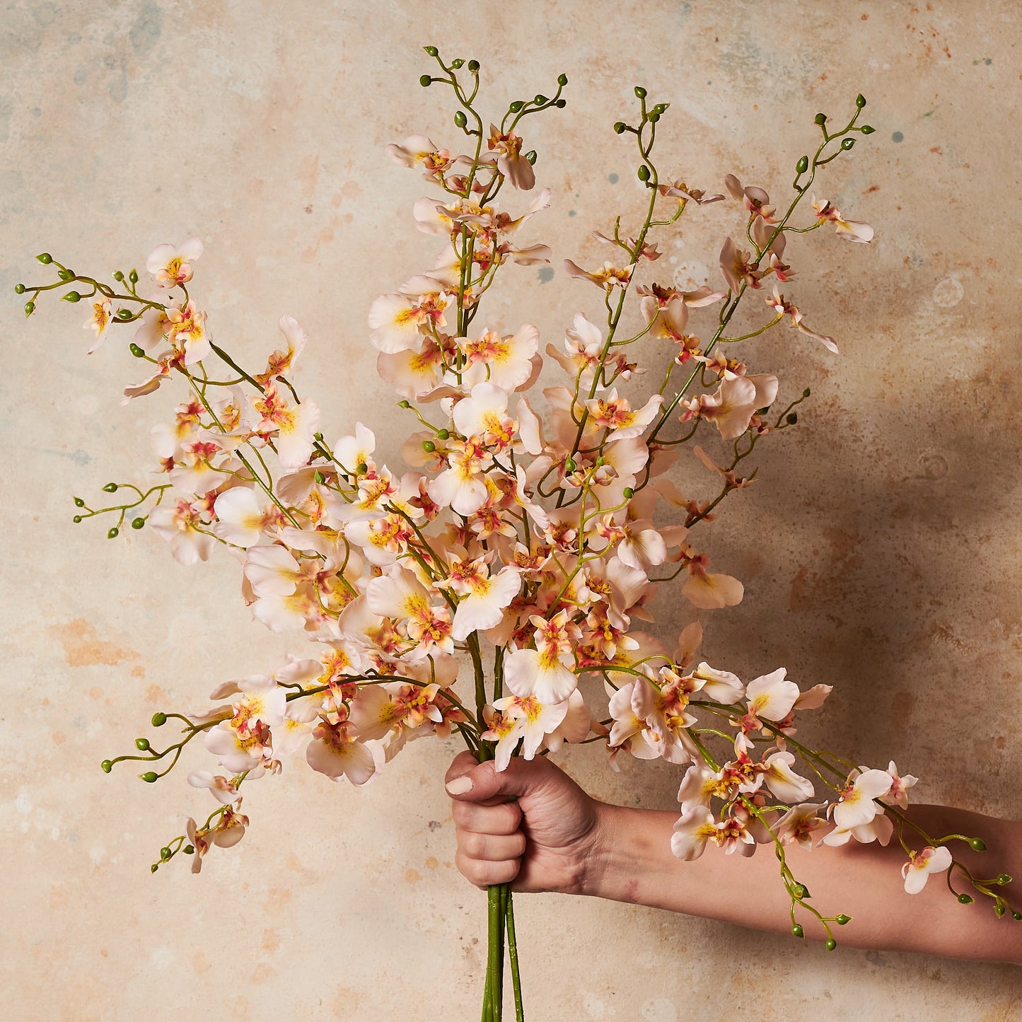 Dancing Orchid Real Touch