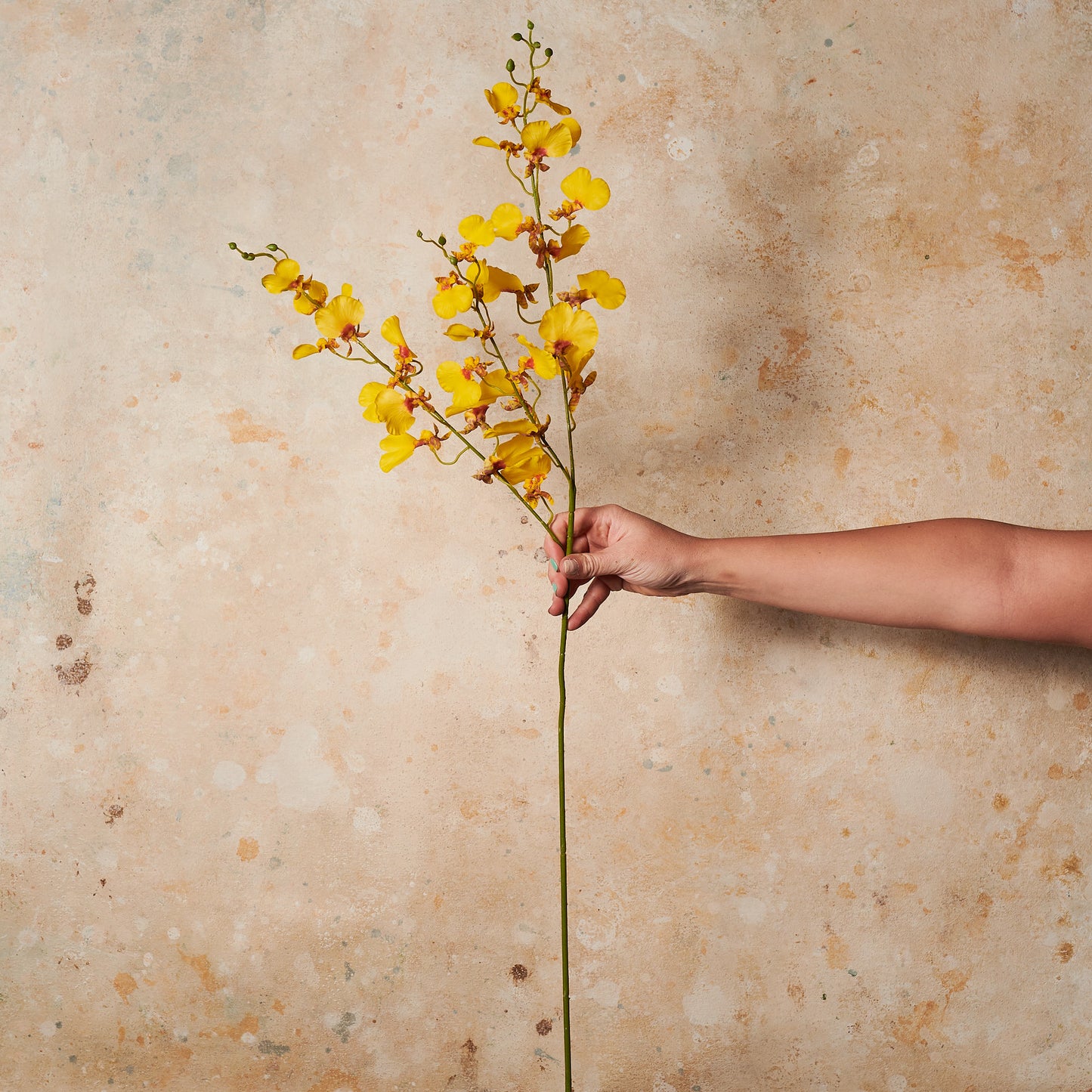 Dancing Orchid Real Touch