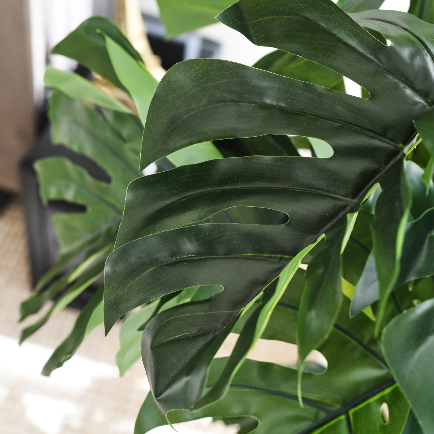 Reuben Monstera Tree and Pot