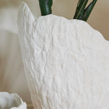 Jasper Premium Monstera Vine Tree