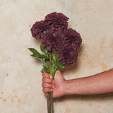 Pompon Dahlia Real Touch Flower Stem