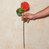 Pompon Dahlia Real Touch Flower Stem