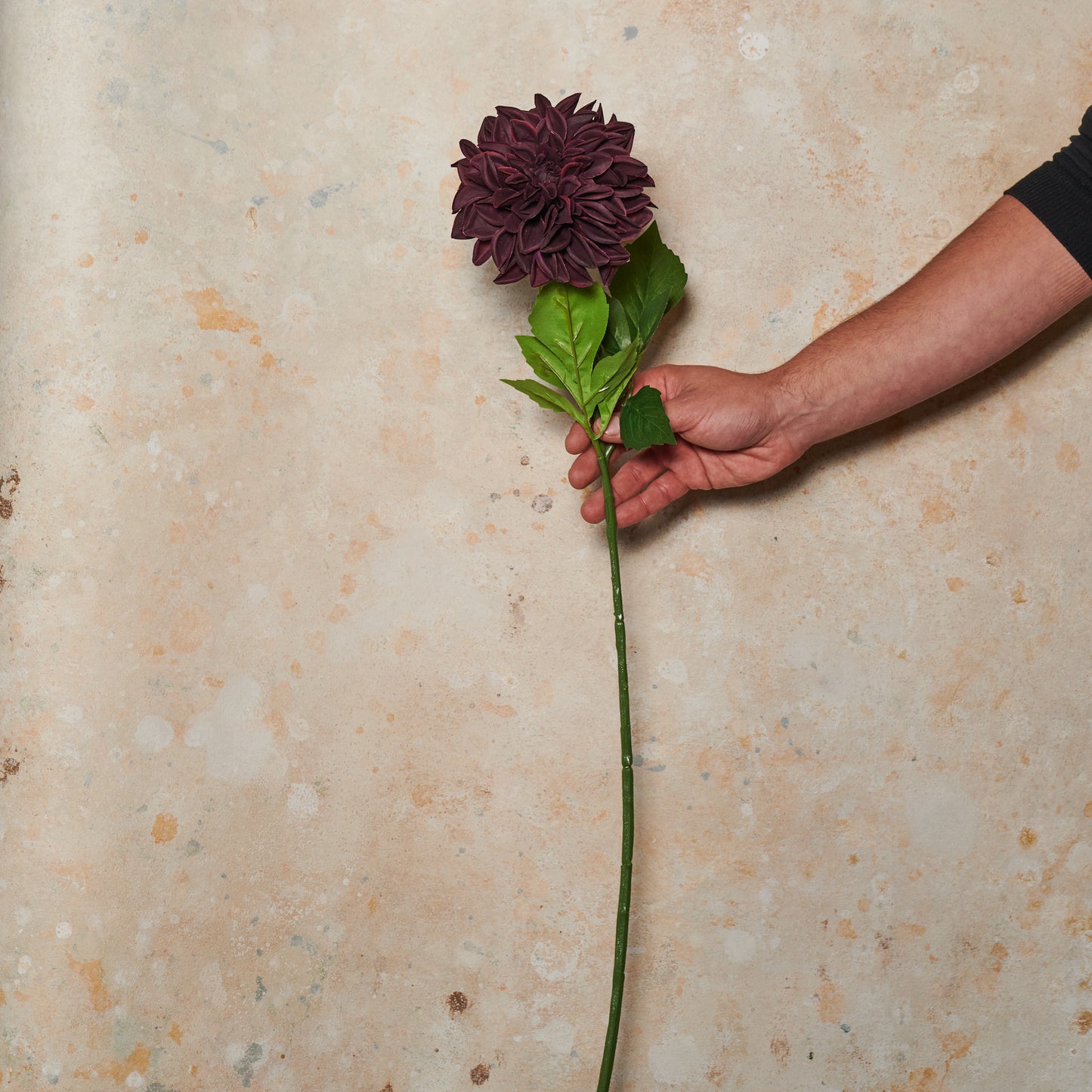 Pompon Dahlia Large Real Touch Flower Stem