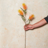 Grevillea Real Touch Flower Stem