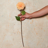 Pompon Dahlia Real Touch Flower Stem
