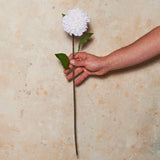 Pompon Dahlia Real Touch Flower Stem