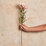 Kaaps Real Touch Flower Stem