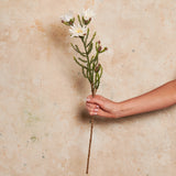 Kaaps Real Touch Flower Stem
