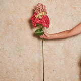 Cone Hydrangea Real Touch Flower Stem