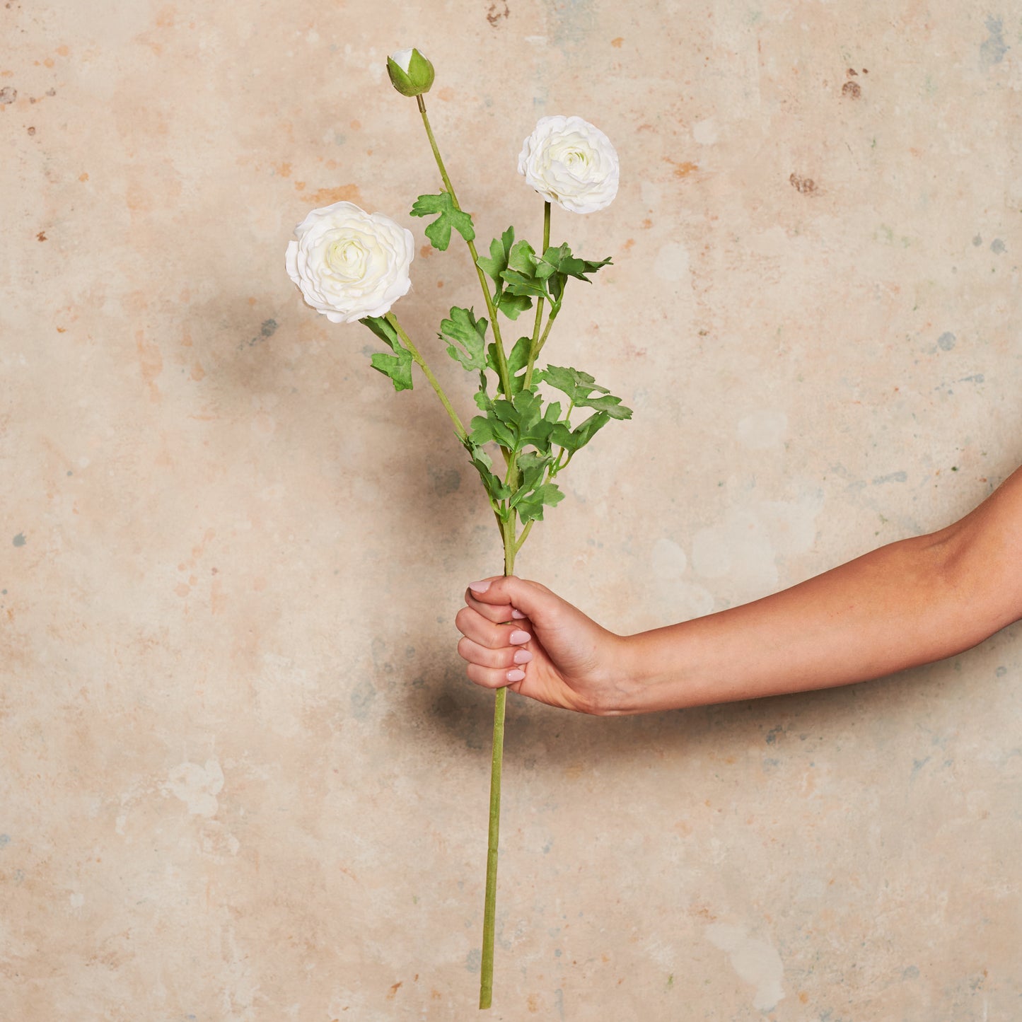 Ranunculus Flower Real Touch Flower Stem