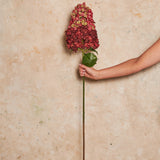 Cone Hydrangea Real Touch Flower Stem