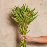 Heliconia Real Touch Flower Stem