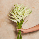 Heliconia Real Touch Flower Stem