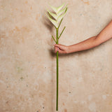 Heliconia Real Touch Flower Stem
