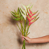Heliconia Real Touch Flower Stem