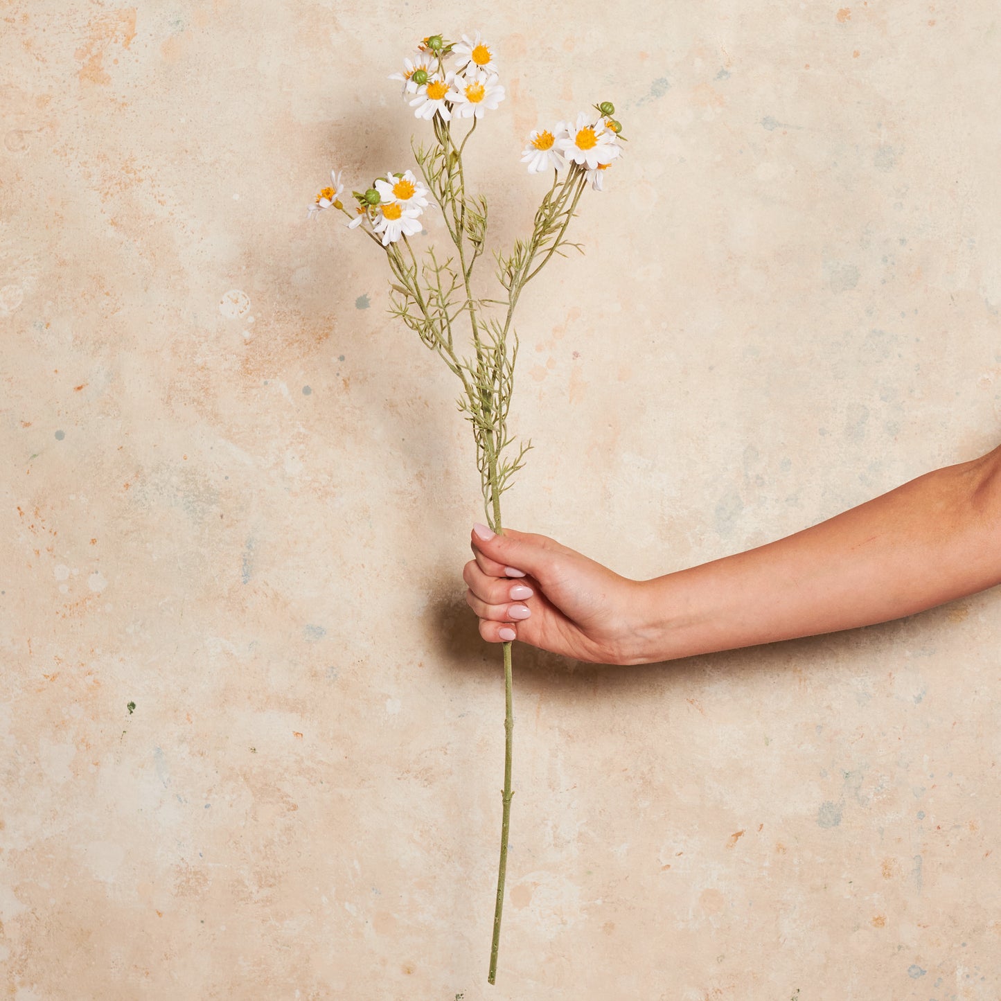 Daisy Spray Real Touch Flower Stem