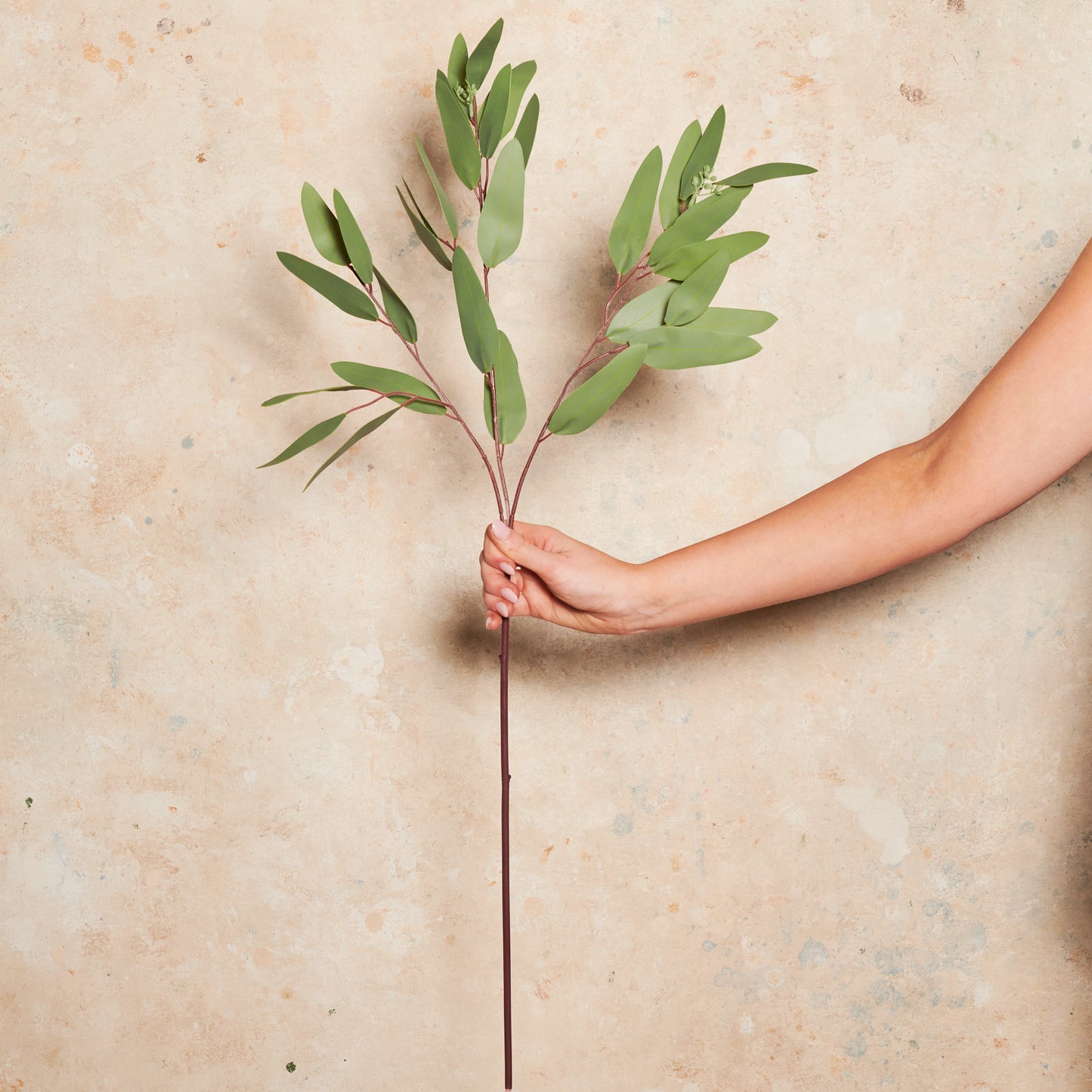 Eucalyptus Pointed Gum Real Touch Stem