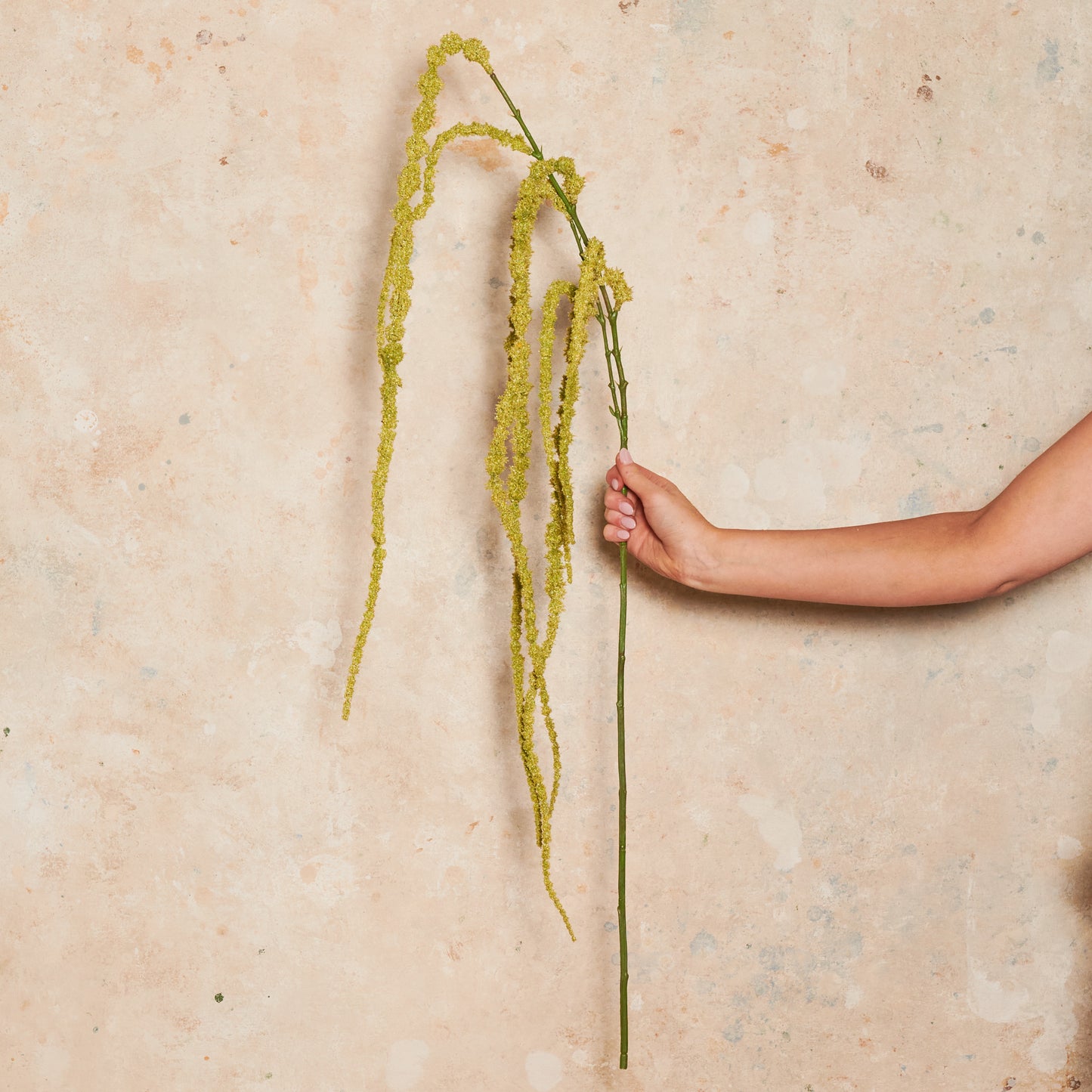 Amaranthus Hanging Spray Real Touch Flower Stem