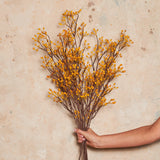 Rosehip Spray Real Touch Stem