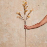 Rosehip Spray Real Touch Stem