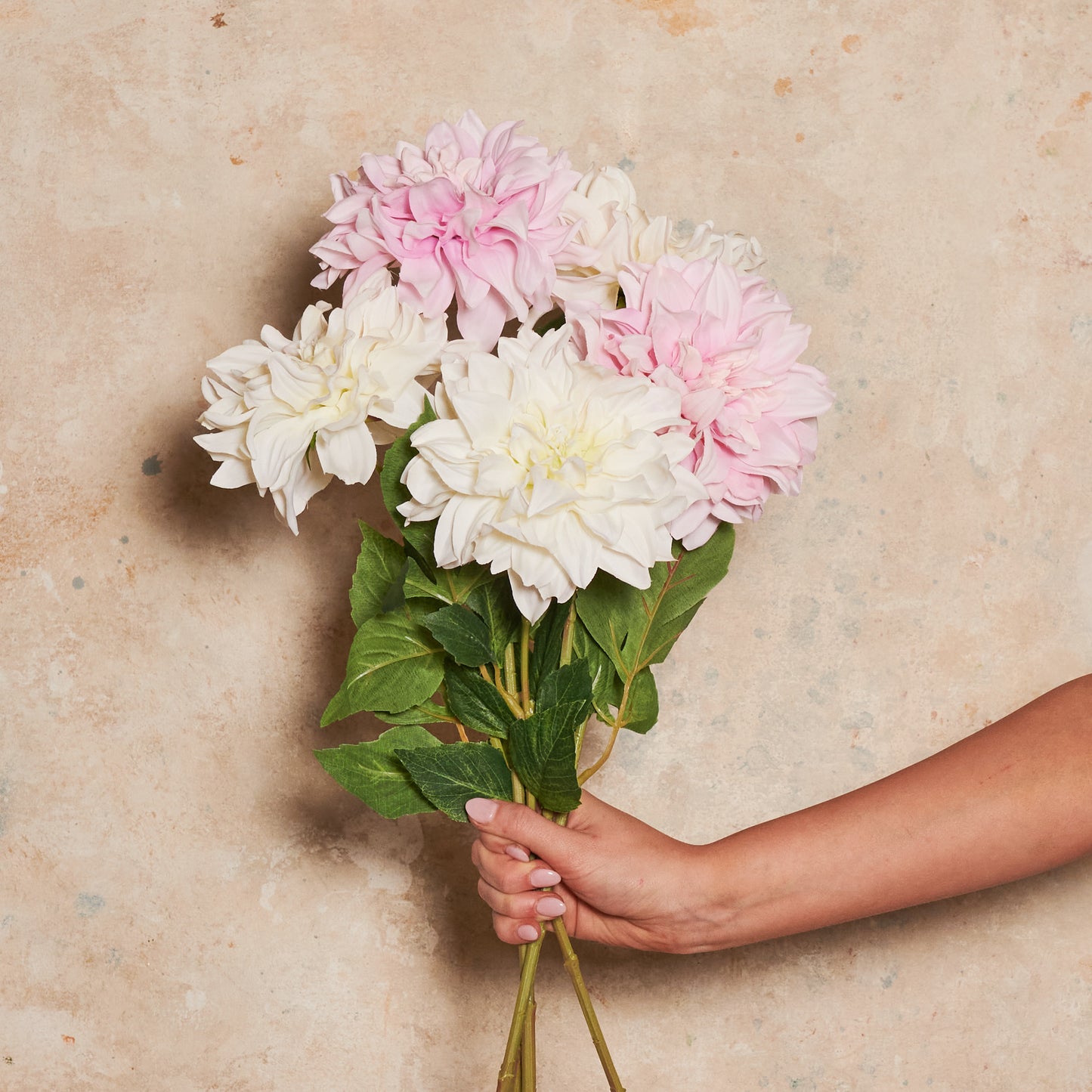 Dahlia Flower Stem