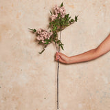 Pepperberry Cluster Real Touch Flower Stem
