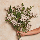 Pepperberry Cluster Real Touch Flower Stem