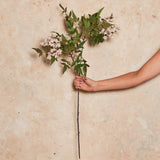 Pepperberry Cluster Real Touch Flower Stem