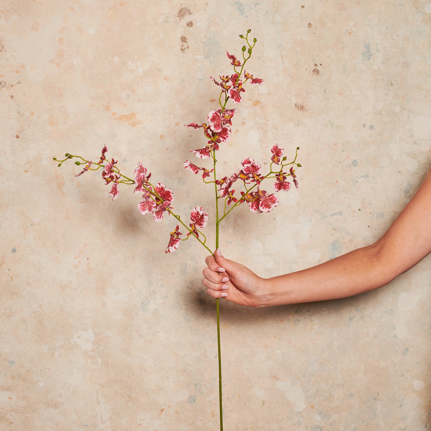 Dancing Orchid Real Touch