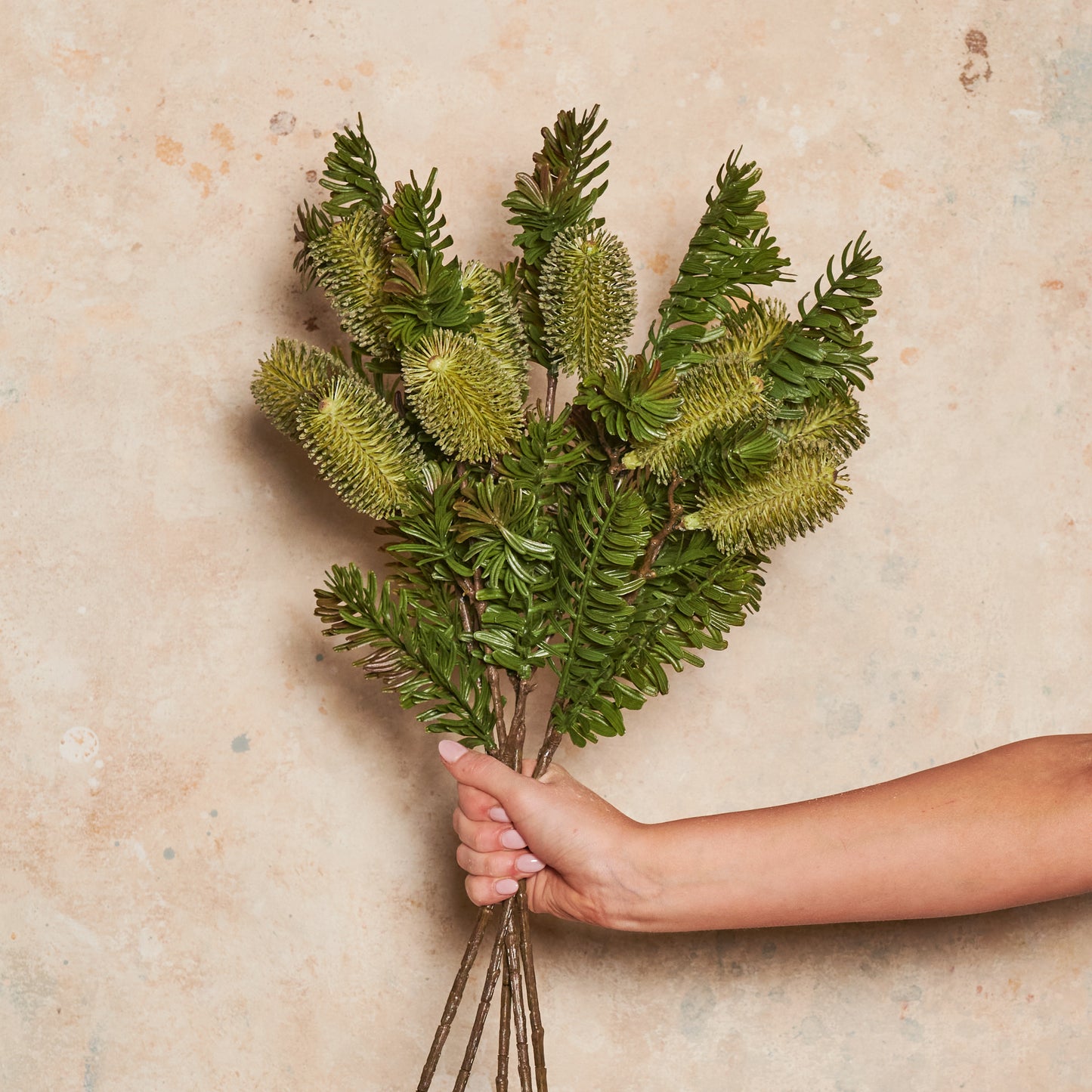 Banksia Spray Real Touch Flower Stem