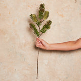 Banksia Spray Real Touch Flower Stem