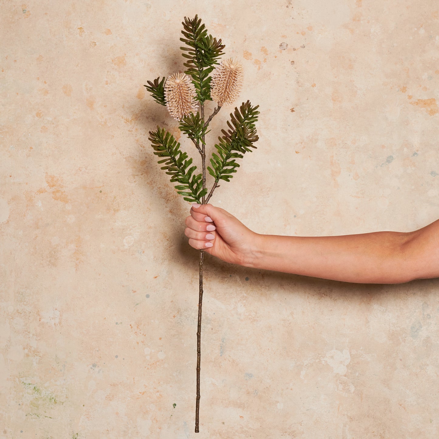 Banksia Spray Real Touch Flower Stem