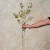 Wild Queen Annes Lace Real Touch Flower Stem