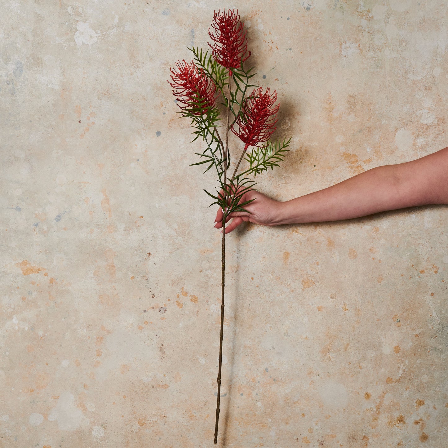Grevillea Real Touch Flower Stem