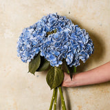 Hydrangea Real Touch Flower Stem Premium