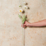Poppy Real Touch Flower Stem