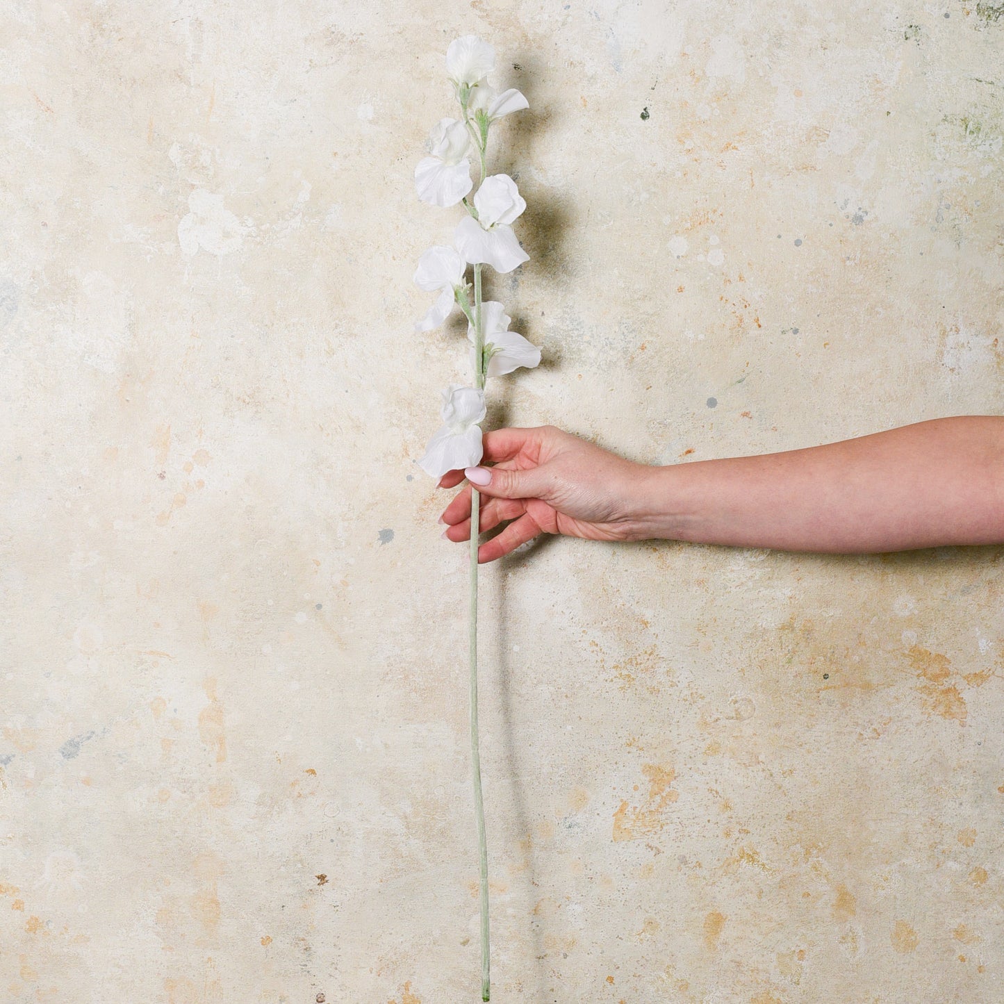 Sweet Pea Real Touch Flower Stem
