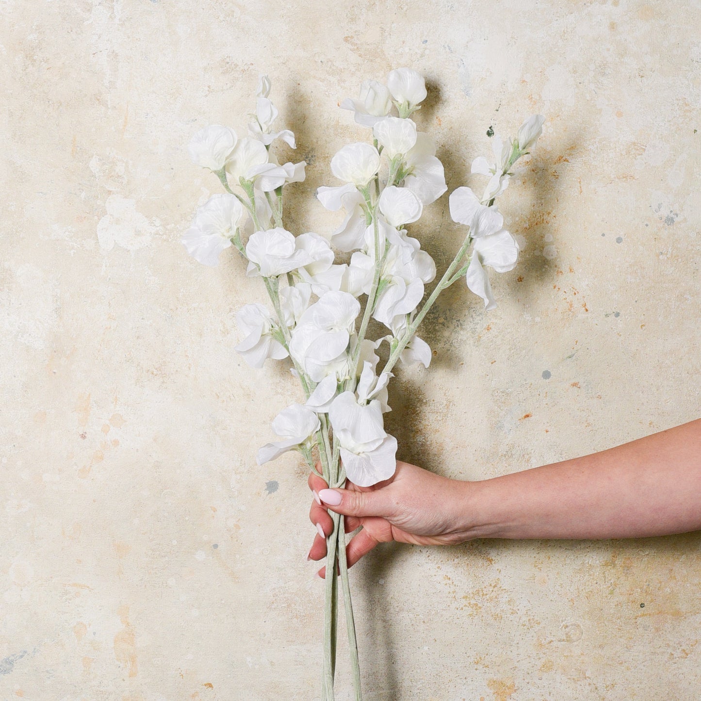 Sweet Pea Real Touch Flower Stem