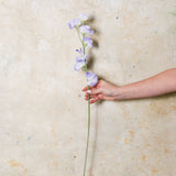 Sweet Pea Real Touch Flower Stem