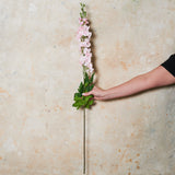 Delphinium Real Touch Flower Stem