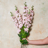 Delphinium Real Touch Flower Stem