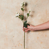 Astrantia Real Touch Flower Stem