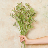 Kangaroo Paw Real Touch Flower Stem