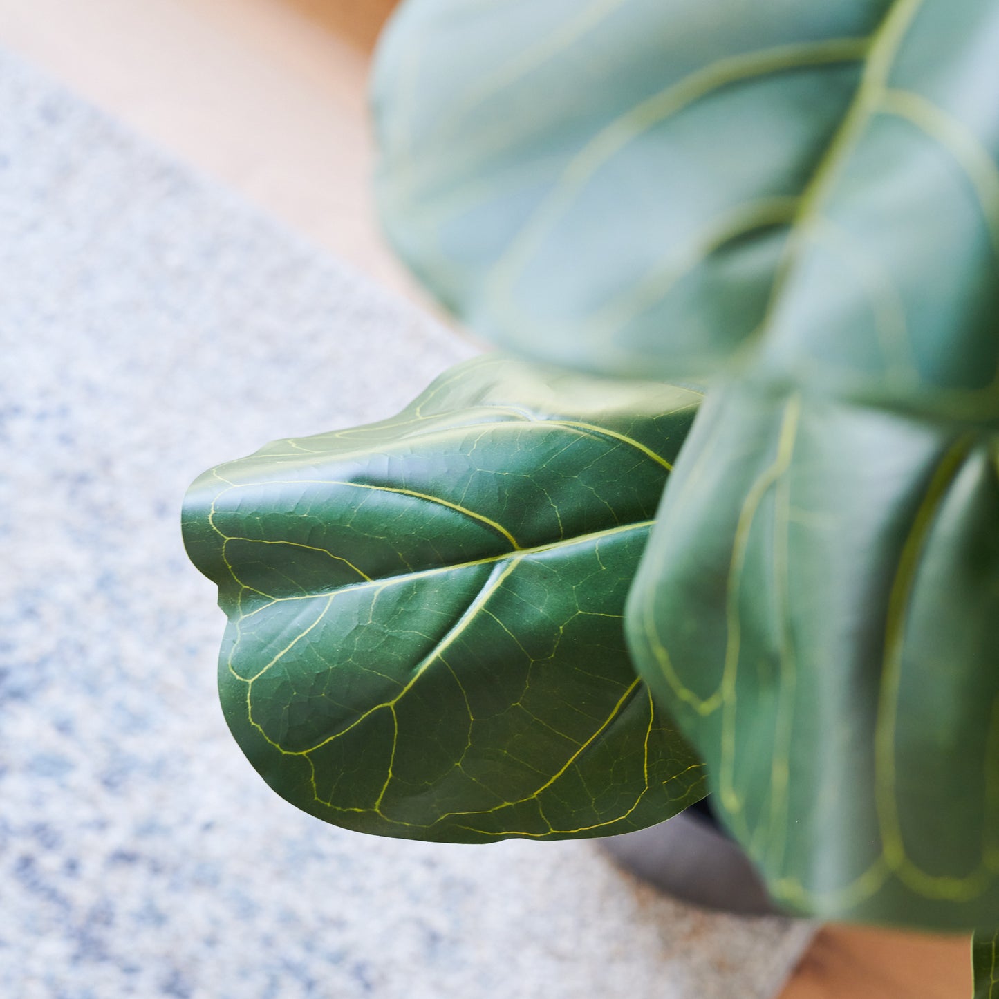 Easton Premium Fiddle Leaf Tree with Pot